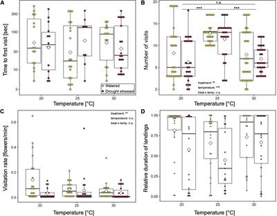 Bumblebee Behavior on Flowers, but Not Initial Attraction, Is Altered by Short-Term Drought Stress